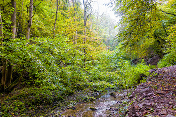 Canvas Print - Wildromantisches Brohlbachtal in der Südeifel bei Treis-Karden