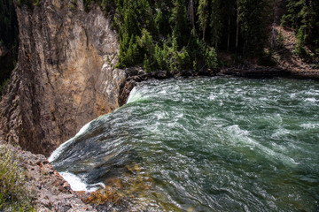 Wall Mural - Lower fall at the Grand Canyon of Yellowstone