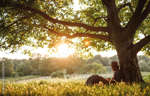 Fotografía Hiker using smartphone under tree