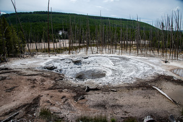 Wall Mural - Geothermal feature at Norris geyser basin at Yellowstone National Park (USA)