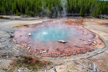 Sticker - Geothermal feature at Norris geyser basin at Yellowstone National Park (USA)