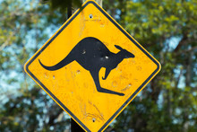 Damaged Yellow Kangaroo Warning Sign Closeup