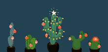 Banner With Christmas Decorated Cacti. Vector Image