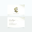 Modern Brush Business Card for Archtect