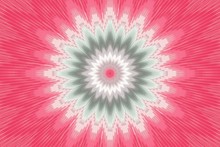 Flower Pattern Floral Pink Kaleidoscope. Abstract Geometric.