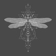 Vector illustration with hand drawn dragonfly and Sacred geometric symbol on black vintage background. Abstract mystic sign.