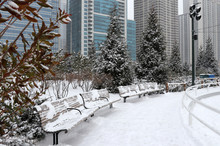 Christmas In Chicago. Modern Architecture And Cityscape Background. Beautiful Winter Day In Chicago Downtown. Scenic View In A City Park With Skyscrapers In At The Background. Illinois, Midwest USA. 