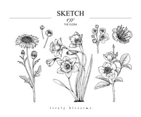 Sticker - Collection set of flower and leaves drawing illustration. Black and white with line art on white backgrounds. Hand Drawn Botanical. Nature Vector.