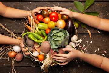 Wall Mural - Fresh farm vegetables, organic healthy food. Agriculture harvest.