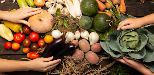 Wall Mural - Fresh farm vegetables, organic healthy food. Agriculture harvest.