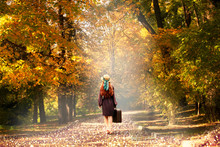 Young Redhead Lady Woman In Polka Dot Dress And Hat With Suitcase In Retro Style Walking Away Along A Park Road With Golden Yellow Autumnal Trees. Outdoor Autumn Garden Relaxation, Travel To Fairytale