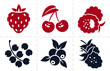 Berries icon set