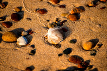 Pebbles Stones On A Sandy Beach With Feather