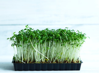 Wall Mural - Watercress salad in a small bowl on a white wooden background. Microgreen. Sprouts of lettuce. Healthy eating