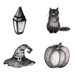 Seth drawn by hand in black ink in sketch style. cat, pumpkin, witch hat and street lamp.  Inktober