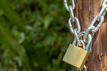 Locker With Chain Close Up With Blurred Green Background And Copy Space. Padlock Secret Symbol Outdoors