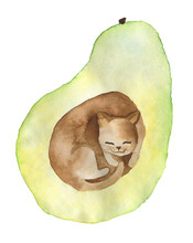 Avocado Cat. Brown As A Fetal Bone Lies A Curled Kitten. Watercolor On An Isolated Background Is Ideal For Postcards, Posters.