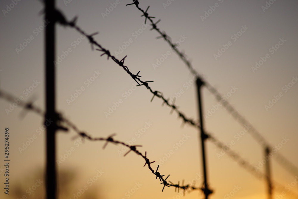 black silhouette of a barbed wire fence in evening. - obrazy, fototapety, plakaty 