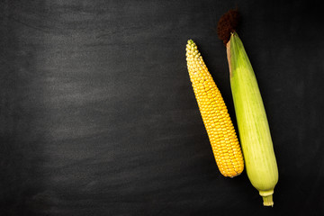 Fresh corn on black background.