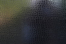 Detailed Skin Of A Reptile. The Body Of The Car Under The Film Of Snake Skin.