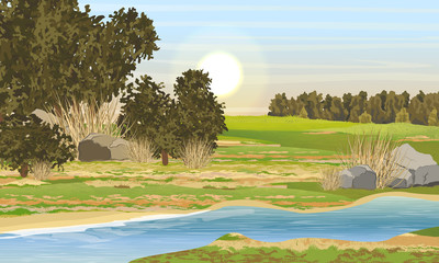 Narrow, shallow river and meadow with green and yellow grass, stones, bushes and trees and forest on the horizon. Realistic vector landscape