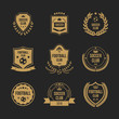 © sabelskaya - Football club badge set - royal shield shape with crown symbol and soccer ball