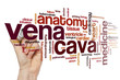 © ibreakstock - Vena cava word cloud