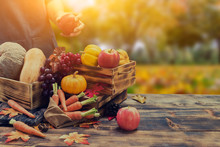 Fall Harvest Cornucopia. Autumn Season With Fruit And Vegetable. Thanksgiving Day Concept.