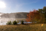 Fototapeta Sawanna - Lake in Algonquin national park ontario canada with foggy mystical atmosphere