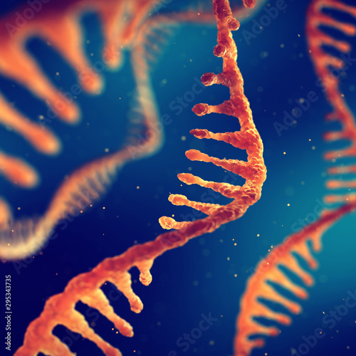 Fotografía Single strand ribonucleic acid, RNA and molecular biology research
