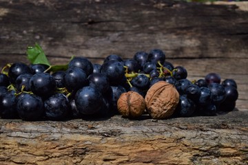 Poster - grapes in basket on black background