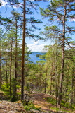 Fototapeta Na ścianę - View from Pisamalahti Hill Fort, Sulkava, Finland