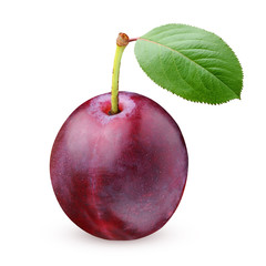 Wall Mural - purple plums isolated on white background.