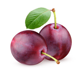 Wall Mural - purple plums isolated on white background.