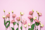 Pink and white eustoma flowers on pink background. Copy space, top view. Holiday background.