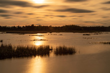 Sunset Over The Marsh Free Stock Photo - Public Domain Pictures