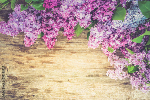 Fresh lilac flowers