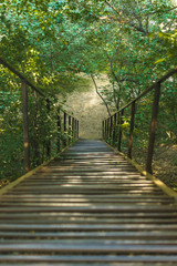  wooden bridge in the forest