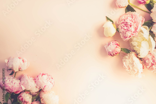 Fresh peony flowers