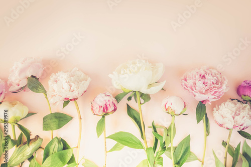 Fresh peony flowers