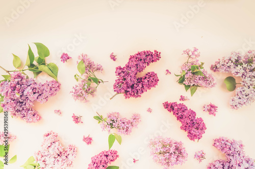 Fresh lilac flowers