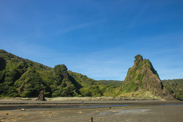 Wall Mural - view cliff around of Karakere beach, North island