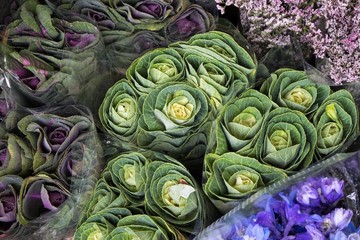 the bouquets of decorative cabbage in wedding bouquets, packed in cellophane for sale