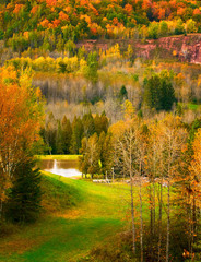 autumn in the park