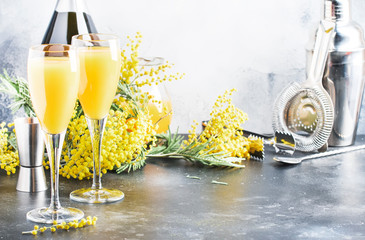 Mimosa alcohol cocktail with orange juice and cold dry champagne or sparkling wine in glasses, gray bar counter background with yelow flowers, copy space, selective focus