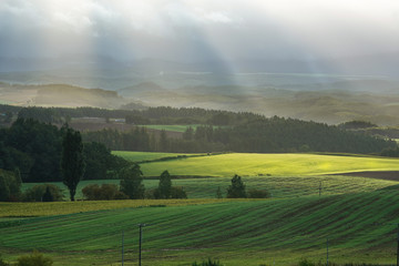Naklejka na meble 北海道美瑛　雨上がりの光芒のある風景