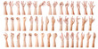 GROUP of Male asian hand gestures isolated over the white background.