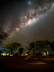 Wall Mural - beautiful night landscape view of milky way and galactic core over etosha camping, namibia. s