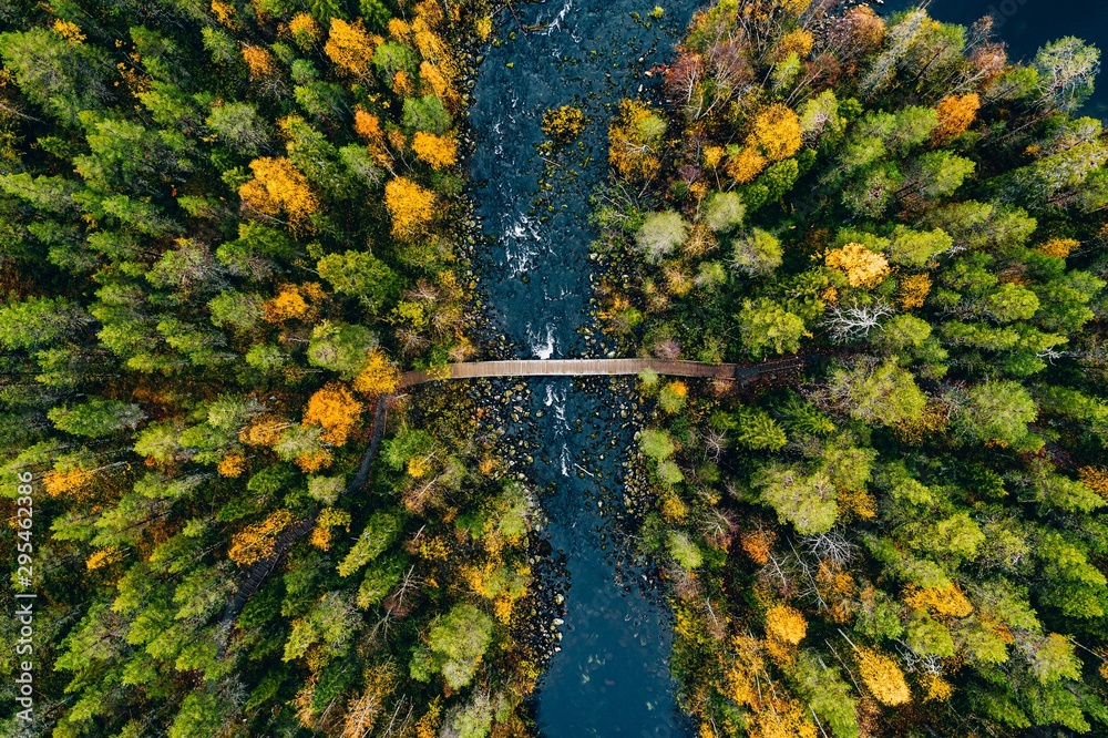 Aerial view of fast river flow through the rocks and colorful forest. Autumn in Finland - obrazy, fototapety, plakaty 