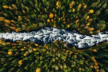 Aerial View Of Fast River Flow Through The Rocks And Colorful Forest. Autumn In Finland